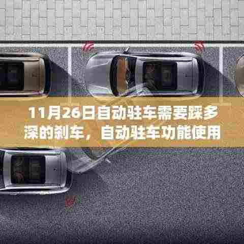 公司简介 第371页