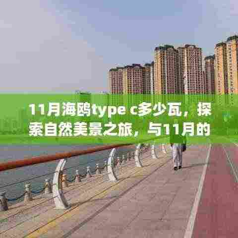 探索自然美景之旅,揭秘11月海鸥Type-C功率与共舞的自然体验
