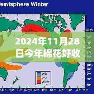 2024年棉花收成展望,品质、市场与气候的综合分析