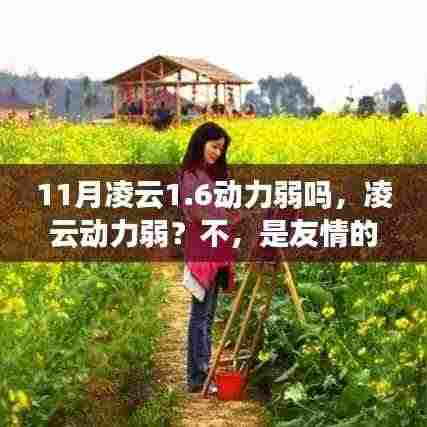 凌云动力暖风,友情之暖与性能解析