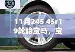 在线留言 第385页