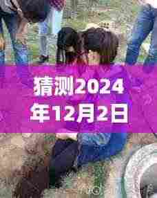 农安活埋女婴事件最新进展深度评测与介绍,2024年12月2日最新猜测与介绍
