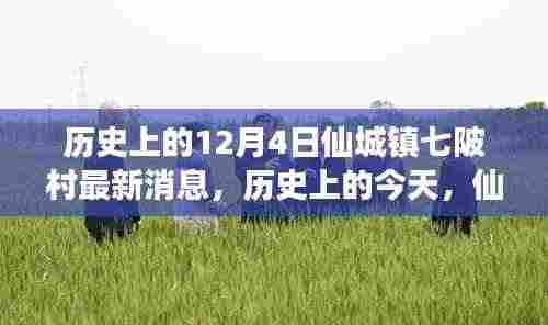 历史上的今天，仙城镇七陂村的新篇章与自信铸就之路