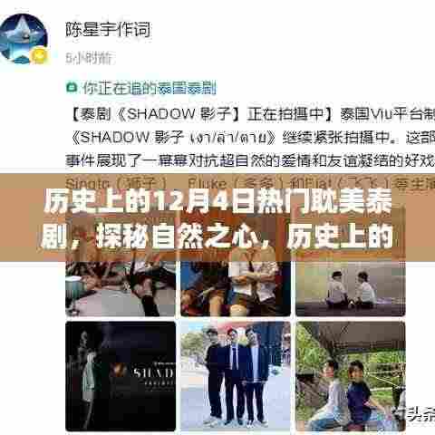历史上的12月4日热门耽美泰剧之旅,探秘自然之心