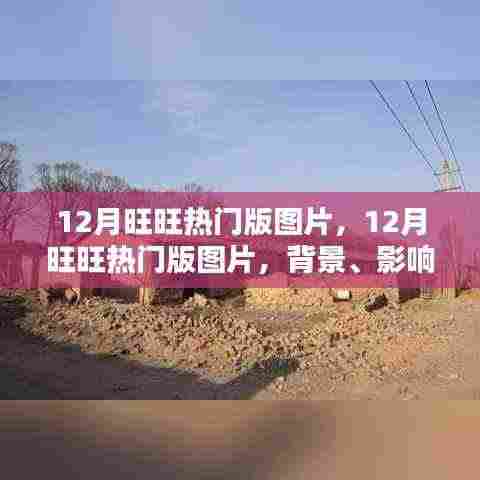 12月旺旺热门版图片,背景、时代印记与影响力