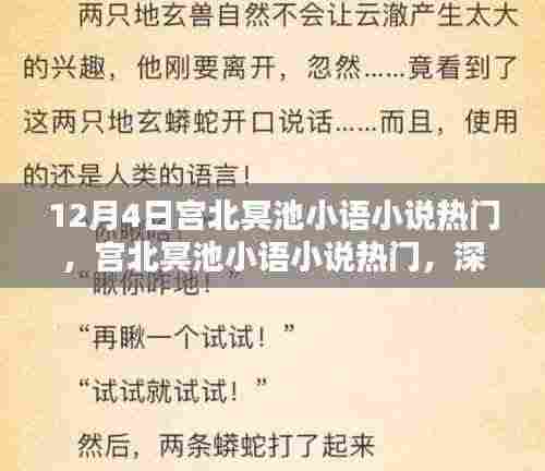 宫北冥池小语小说热门,深度测评与介绍,不容错过!
