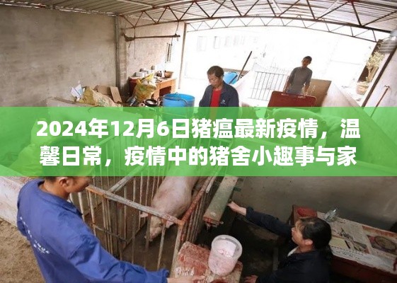 猪瘟疫情下的温馨日常,猪舍趣事与家的温暖
