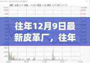 往年12月9日皮革厂足迹,自然美景探索之旅