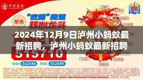 泸州小蚂蚁最新招聘现象观察与思考,职场趋势与启示(以2024年为例)