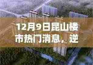 昆山楼市最新动态,逆风翱翔,共成长,探寻12月9日的希望与变化