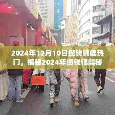揭秘攒钱锦鲤秘籍,开启财富自由之门,2024年12月10日热门指南