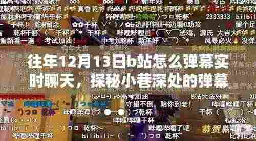 探秘B站弹幕乐园,如何在往年12月13日实时畅聊特色小店与小巷深处的弹幕互动体验