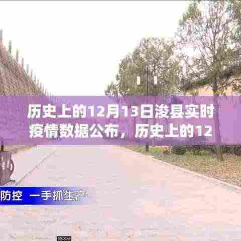 历史上的12月13日浚县疫情数据公布,深度分析与解读