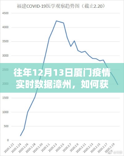 获取往年12月13日厦门疫情实时数据漳州,详细步骤指南(适用于初学者与进阶用户)