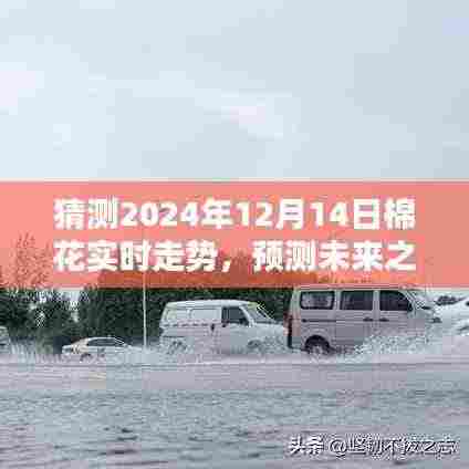 揭秘,如何预测未来之路——2024年棉花市场走势分析展望报告揭秘!