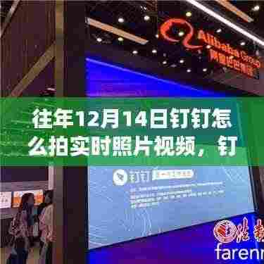 揭秘往年12月14日钉钉实时照片视频功能,体验科技魅力,教你如何轻松拍摄与分享视频照片