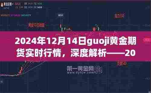 深度解析，2024年12月14日国际黄金期货实时行情全面体验与评测