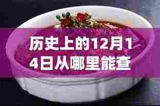 指尖上的羊肉价格动态,历史查询与未来交易风云揭秘