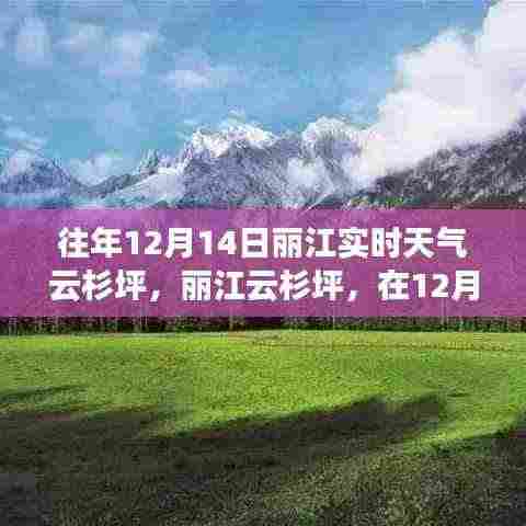 丽江云杉坪,寻找内心的宁静与自然魔法的秘密之旅(往年12月14日实时天气)