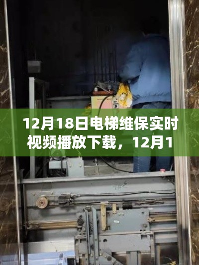 12月18日电梯维保实时视频播放与下载,专业维保,确保电梯安全