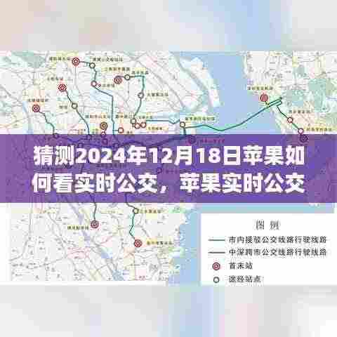 早生贵子 第4页