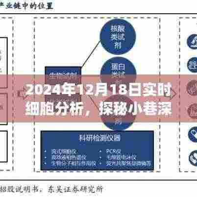 探秘科技秘境,实时细胞分析的奇妙之旅(2024年12月18日)