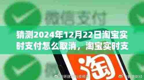 淘宝实时支付取消功能预测,操作指南、功能详解与未来展望(猜测至2024年12月)