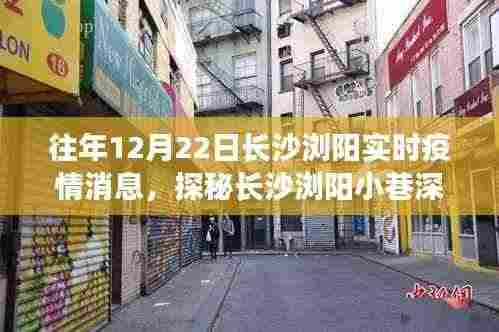 长沙浏阳防疫温情与美食宝藏探秘,实时疫情消息及小巷深处的美食之旅