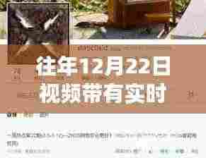 往年12月22日视频热点深度解读，实时趋势下的产品特性、用户体验与目标用户评析