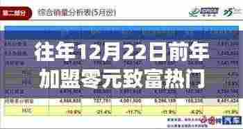 深度解析,往年12月22日前加盟零元致富热门项目的全面评测与指南