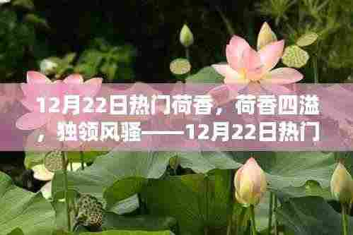 深度评测,荷香四溢,独领风骚——12月22日热门荷香产品大解密