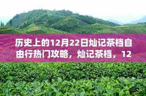 灿记茶档,暖阳下的茶韵之旅与暖心故事——12月22日自由行热门攻略