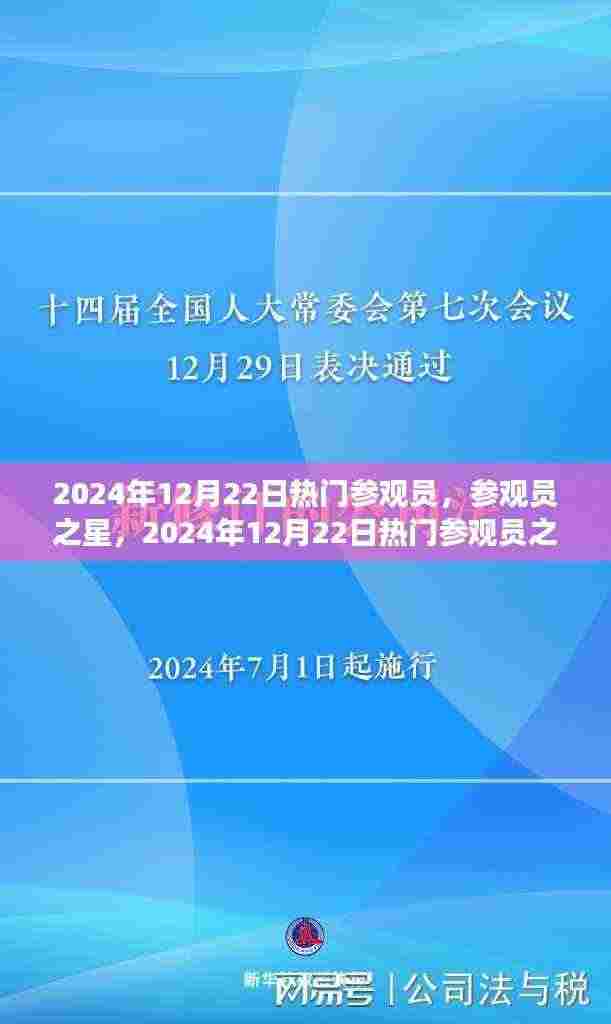 辉煌印记,2024年12月22日热门参观员之旅,参观员之星闪耀之旅