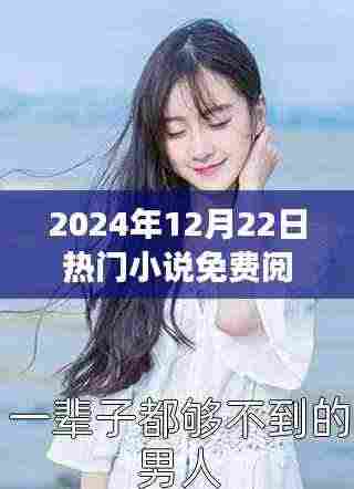 夏星辰热门小说免费阅读指南，2024年12月22日一站式攻略