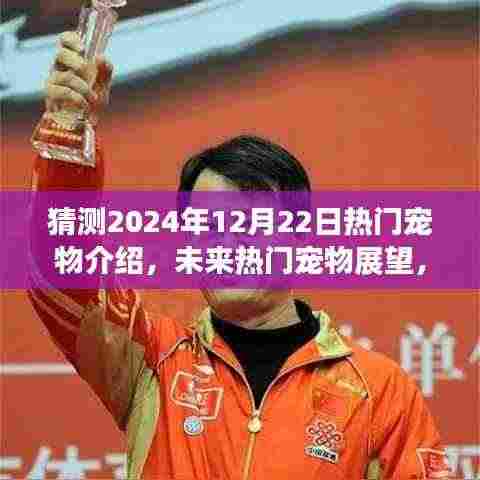 未来宠物展望，预测2024年12月22日热门宠物潮流趋势