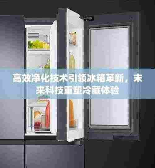 高效净化技术引领冰箱革新,未来科技重塑冷藏体验