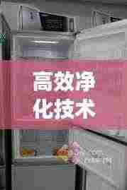 高效净化技术引领冰箱革新,未来科技重塑冷藏体验