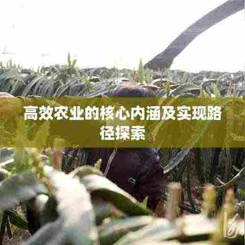 高效农业的核心内涵及实现路径探索