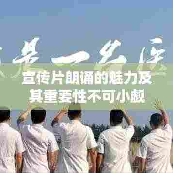 宣传片朗诵的魅力及其重要性不可小觑