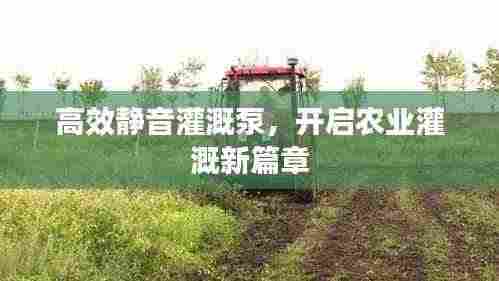 高效静音灌溉泵,开启农业灌溉新篇章