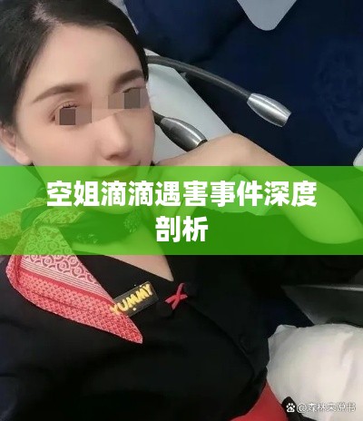 空姐滴滴遇害事件深度剖析