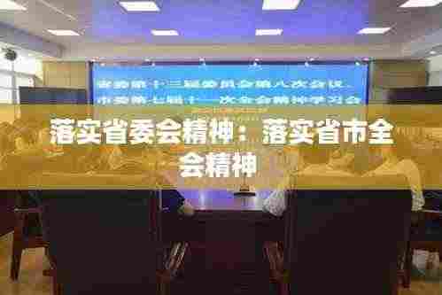 落实省委会精神:落实省市全会精神