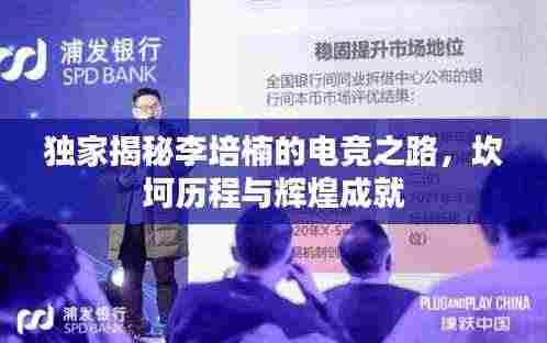 独家揭秘李培楠的电竞之路，坎坷历程与辉煌成就