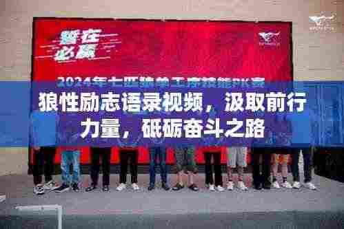 狼性励志语录视频，汲取前行力量，砥砺奋斗之路