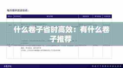 什么卷子省时高效:有什么卷子推荐