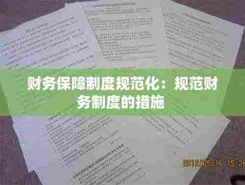 财务保障制度规范化：规范财务制度的措施 