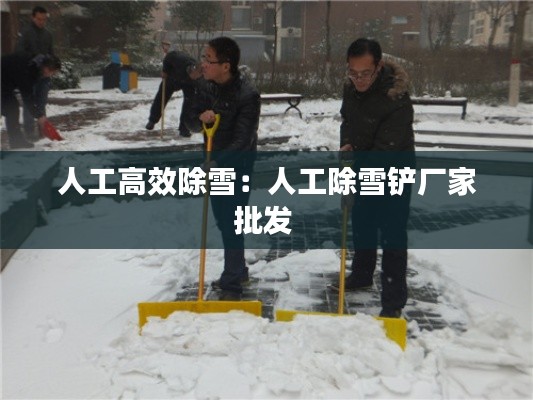 人工高效除雪:人工除雪铲厂家批发