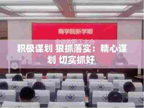 积极谋划 狠抓落实:精心谋划 切实抓好