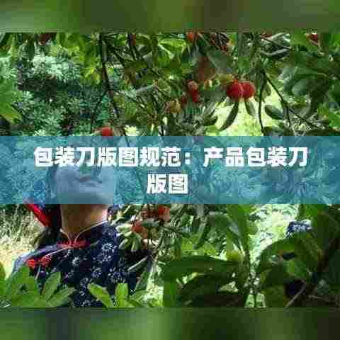 包装刀版图规范:产品包装刀版图