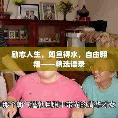 励志人生，如鱼得水，自由翱翔——精选语录